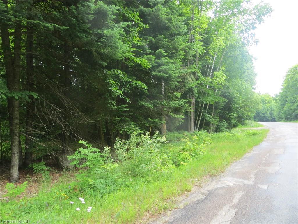 BURLEIGH Road, Wilberforce, Ontario, Canada