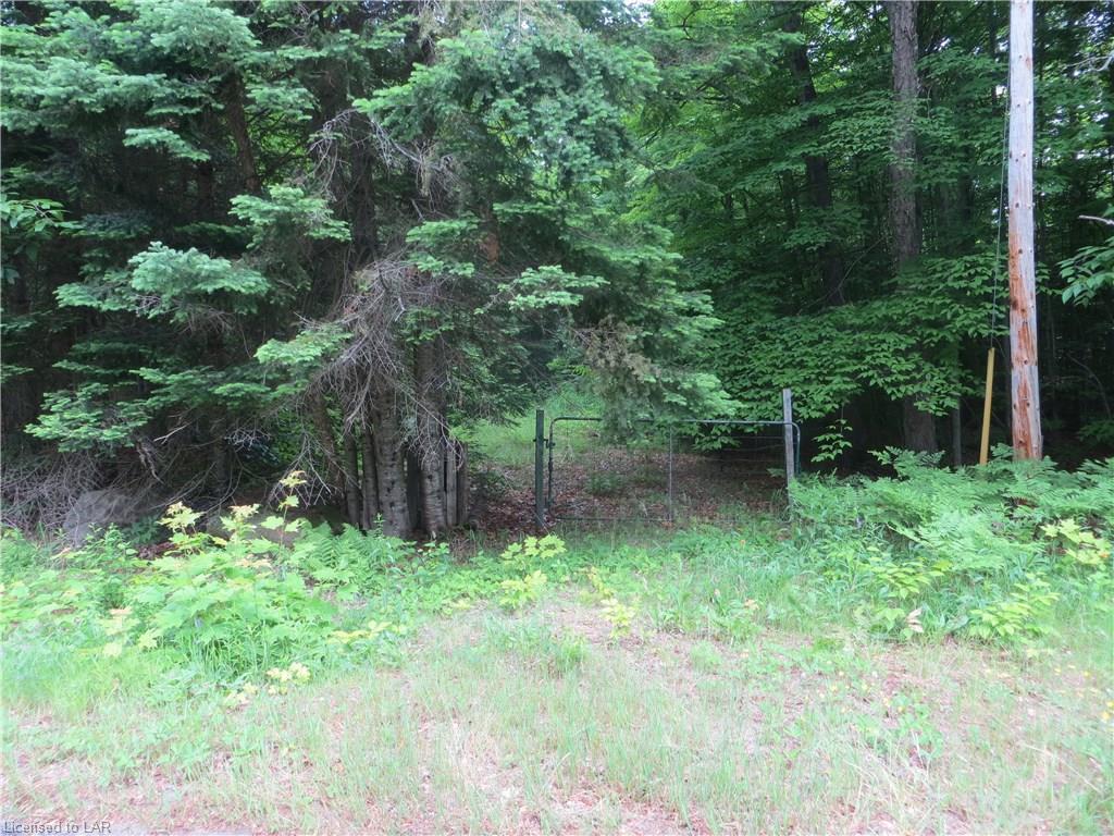 BURLEIGH Road, Wilberforce, Ontario, Canada
