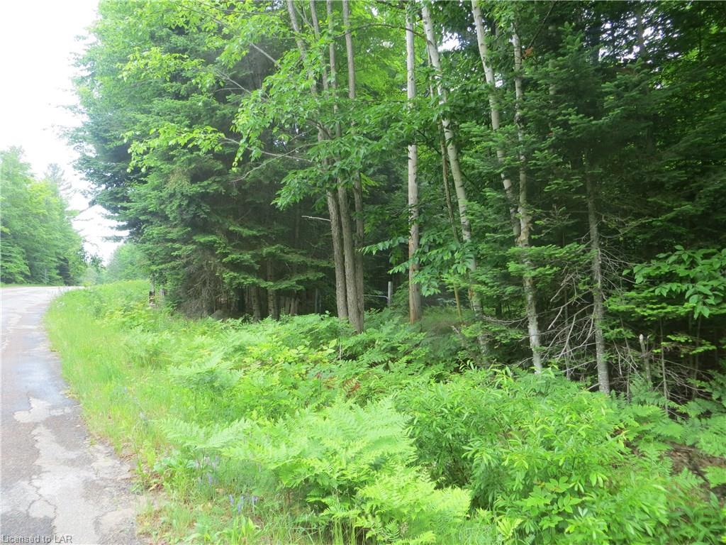 BURLEIGH Road, Wilberforce, Ontario, Canada