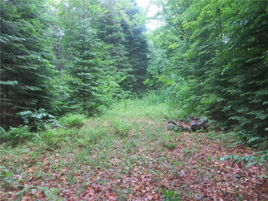 BURLEIGH Road, Wilberforce, Ontario, Canada