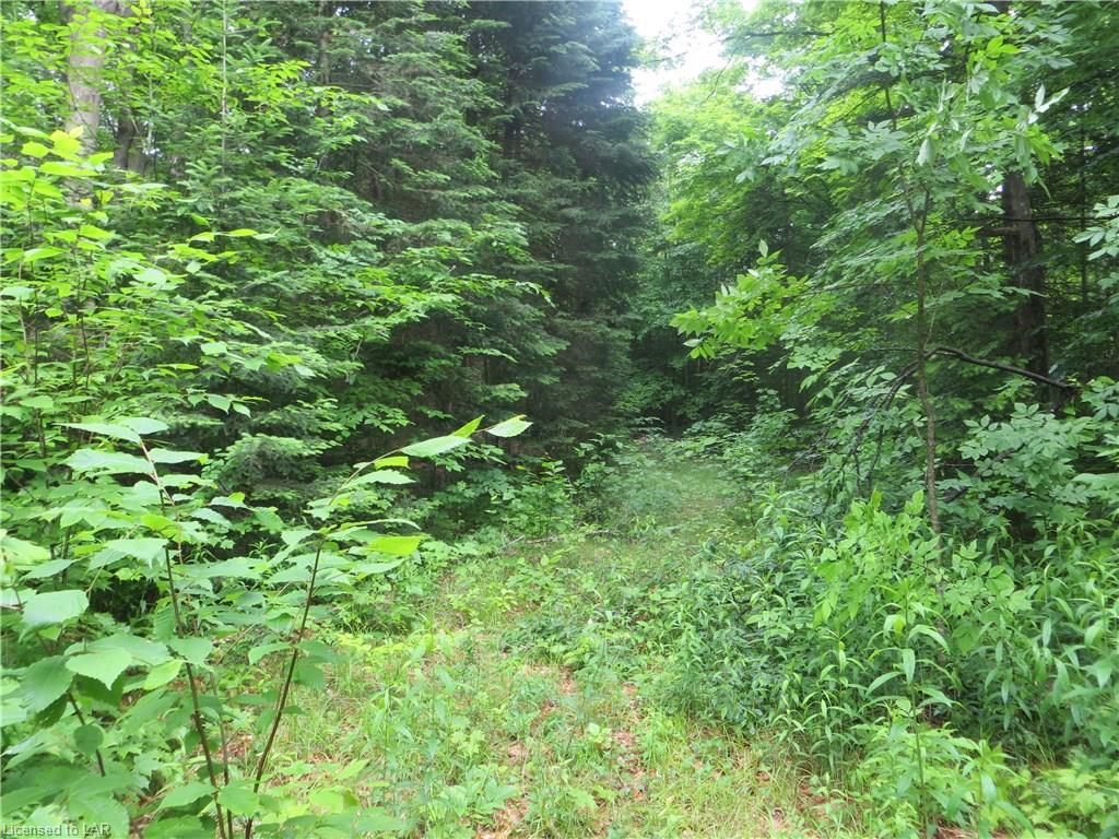 BURLEIGH Road, Wilberforce, Ontario, Canada