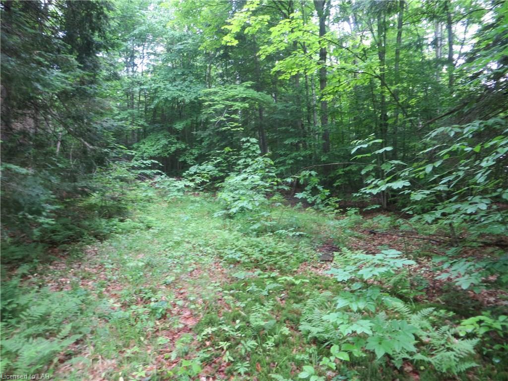BURLEIGH Road, Wilberforce, Ontario, Canada