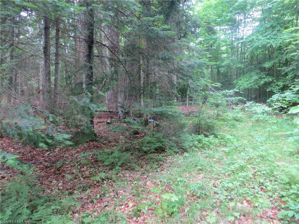 BURLEIGH Road, Wilberforce, Ontario, Canada