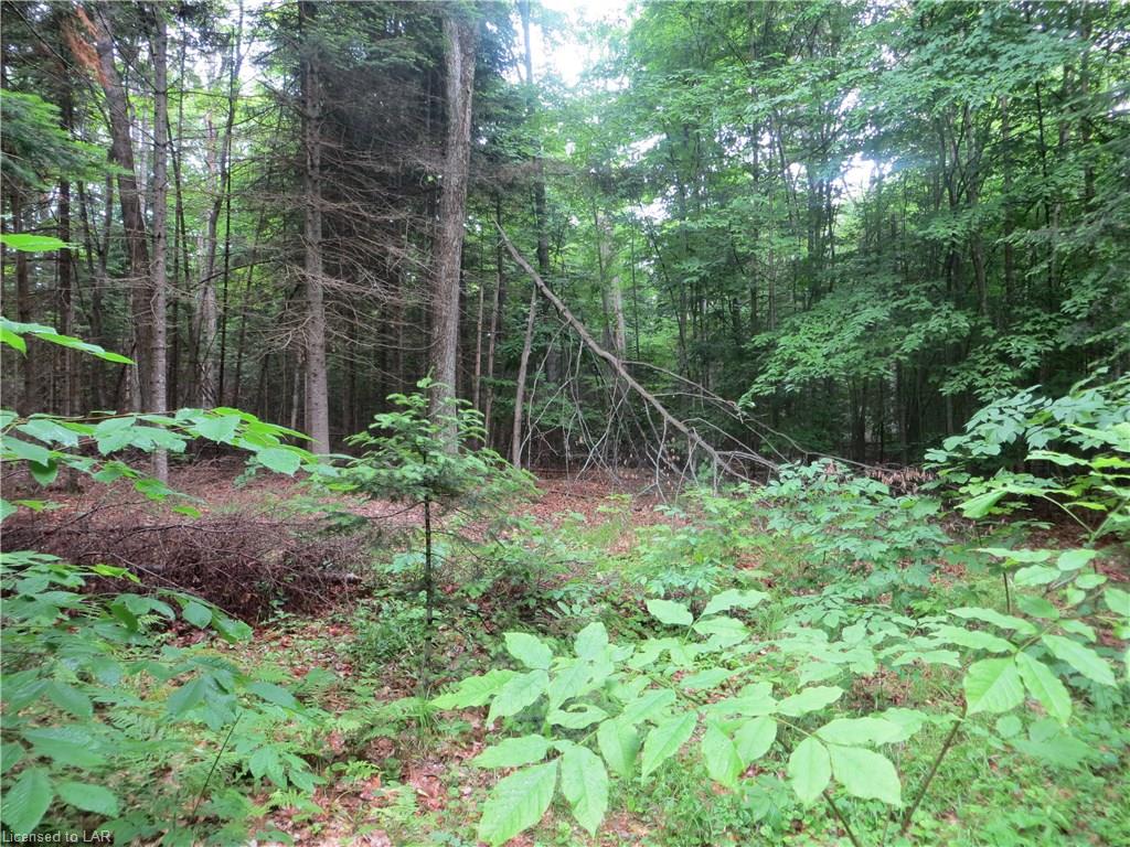 BURLEIGH Road, Wilberforce, Ontario, Canada