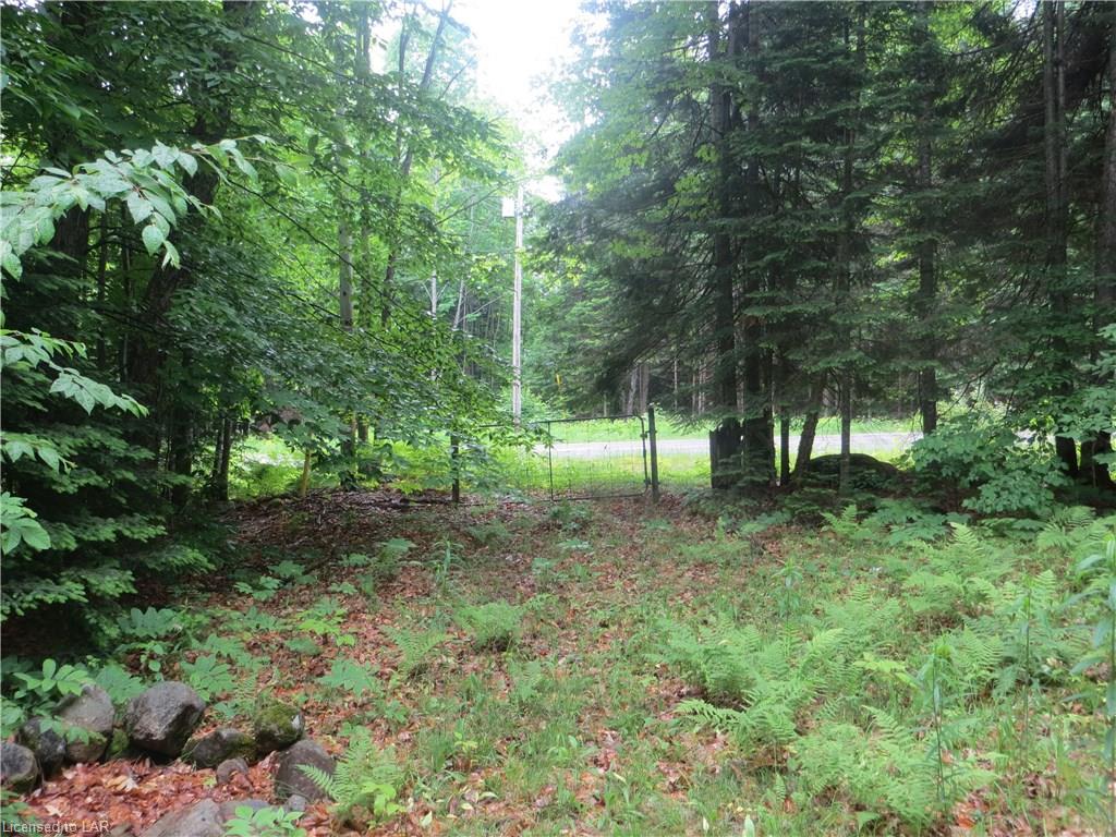 BURLEIGH Road, Wilberforce, Ontario, Canada