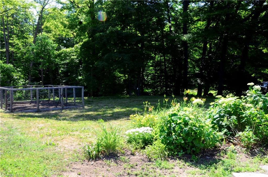 3282 COUNTY ROAD 21 Road, Minden, Ontario, Canada