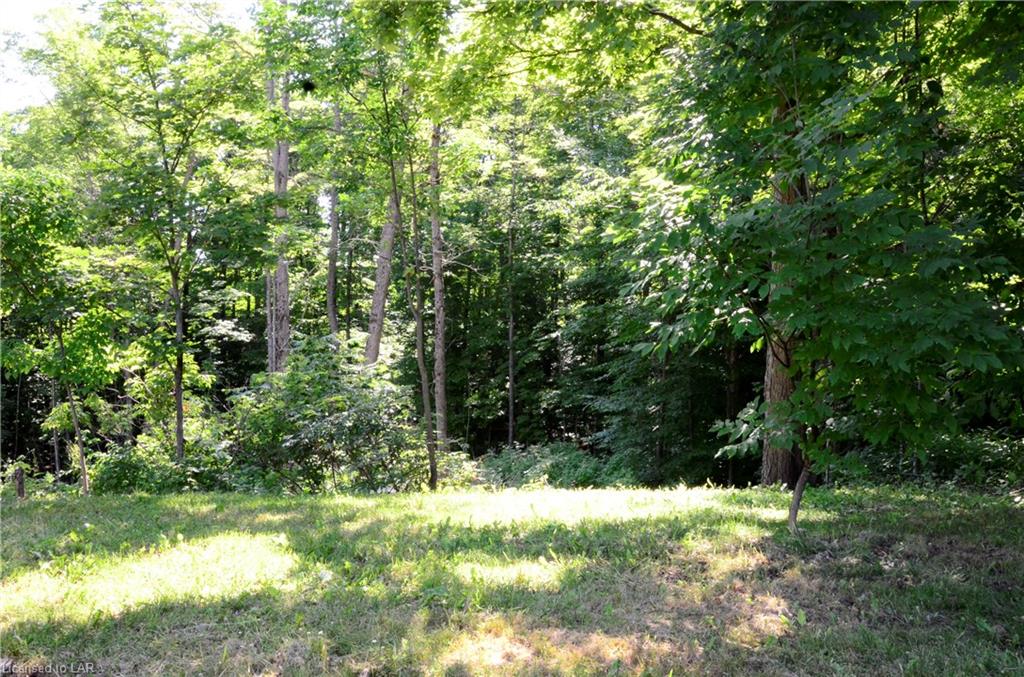3282 COUNTY ROAD 21 Road, Minden, Ontario, Canada
