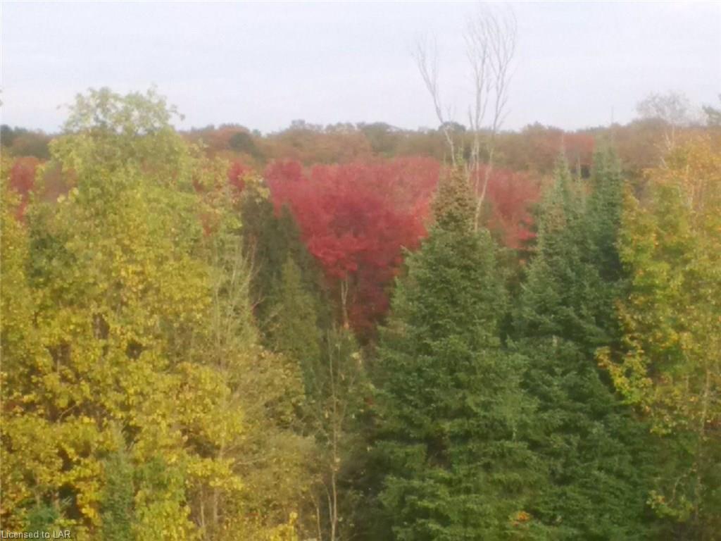 1558 REYNOLDS Road, Minden Hills, Ontario, Canada