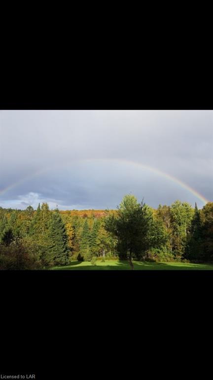 1558 REYNOLDS Road, Minden Hills, Ontario, Canada