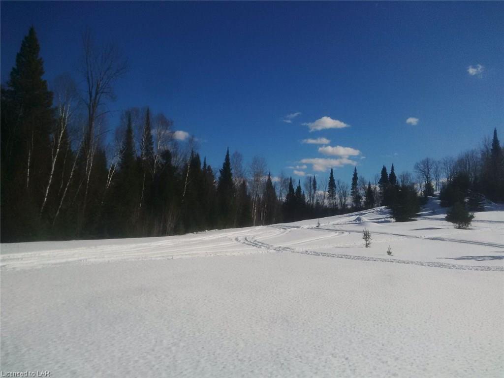 1558 REYNOLDS Road, Minden Hills, Ontario, Canada