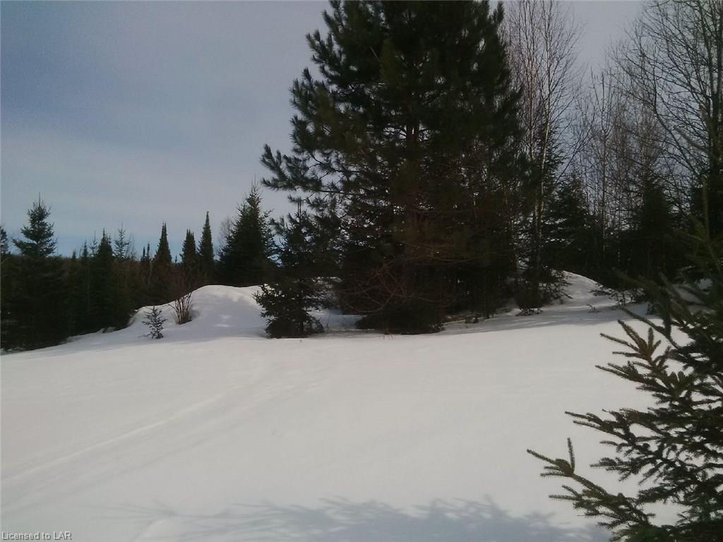 1558 REYNOLDS Road, Minden Hills, Ontario, Canada