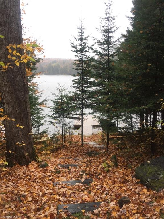 1761 WENONA LAKE Road, Haliburton, Ontario, Canada
