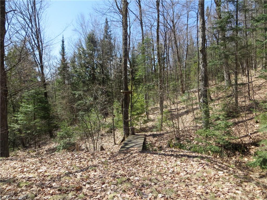 1140 ASHMONT Lane, Haliburton, Ontario, Canada