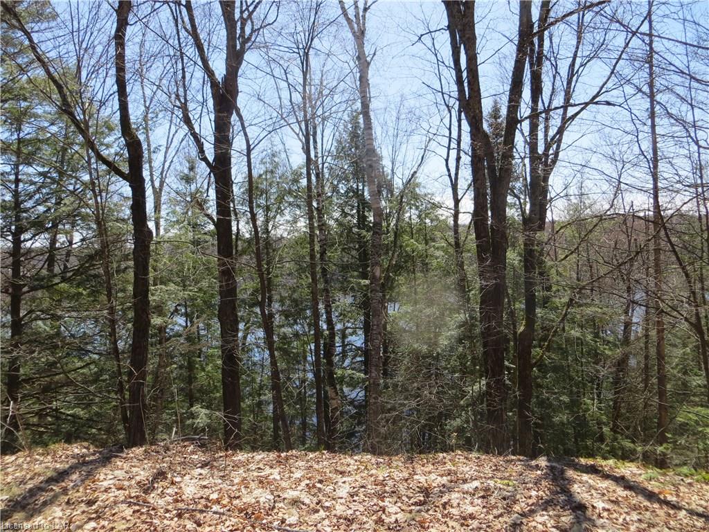 1140 ASHMONT Lane, Haliburton, Ontario, Canada