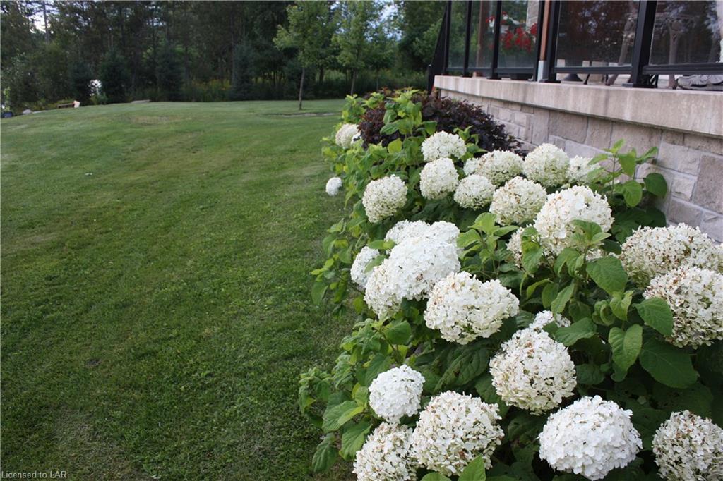 1 PARK Street Unit# 204, Haliburton, Ontario, Canada