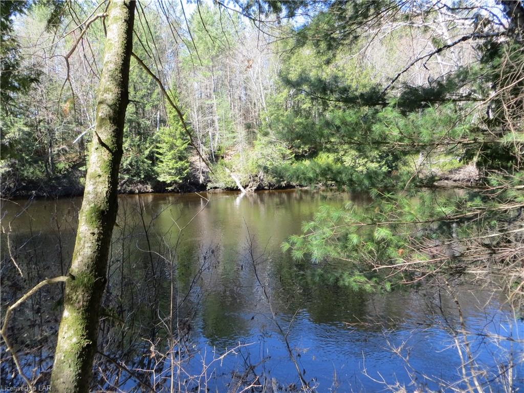 7 SPARROW Road, Burnt River, Ontario, Canada