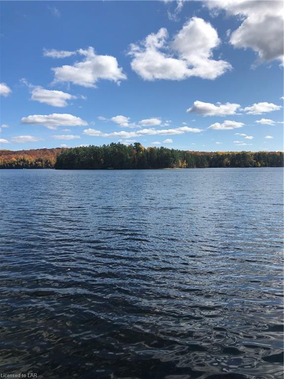 SUGAR BUSH Road, Minden Hills, Ontario, Canada