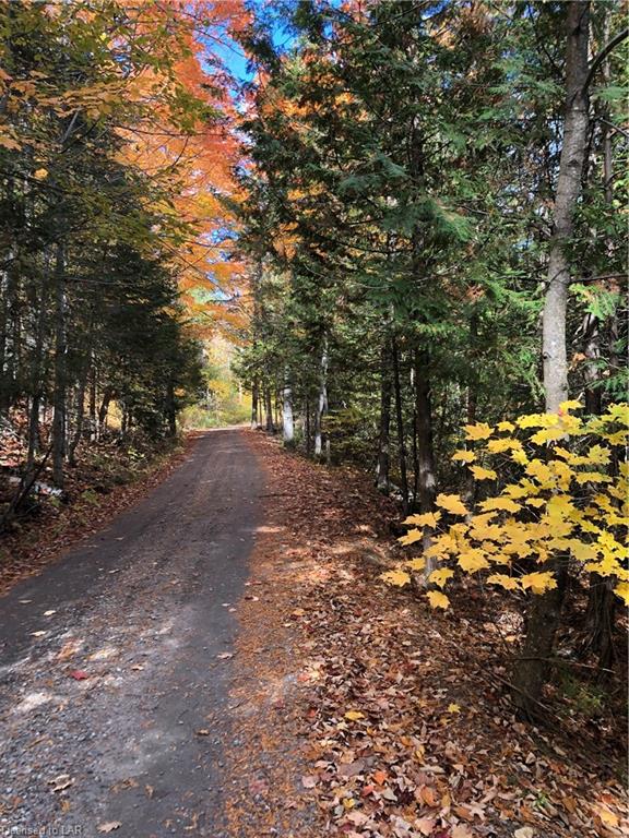 SUGAR BUSH Road, Minden Hills, Ontario, Canada