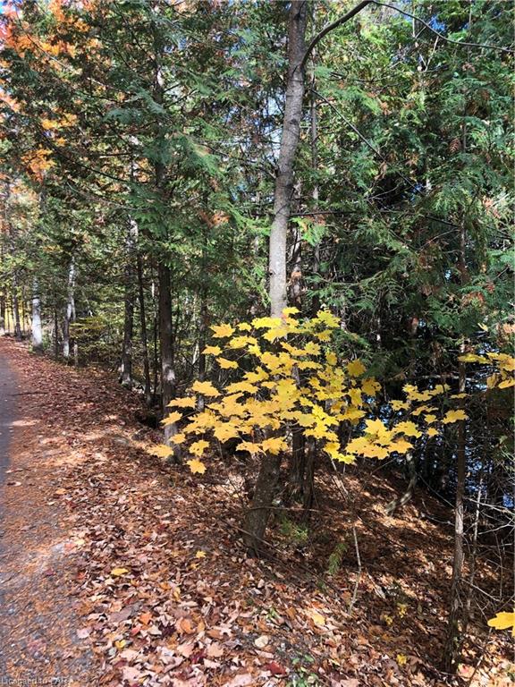 SUGAR BUSH Road, Minden Hills, Ontario, Canada