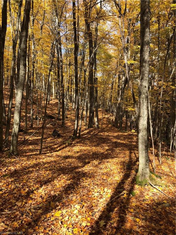 SUGAR BUSH Road, Minden Hills, Ontario, Canada