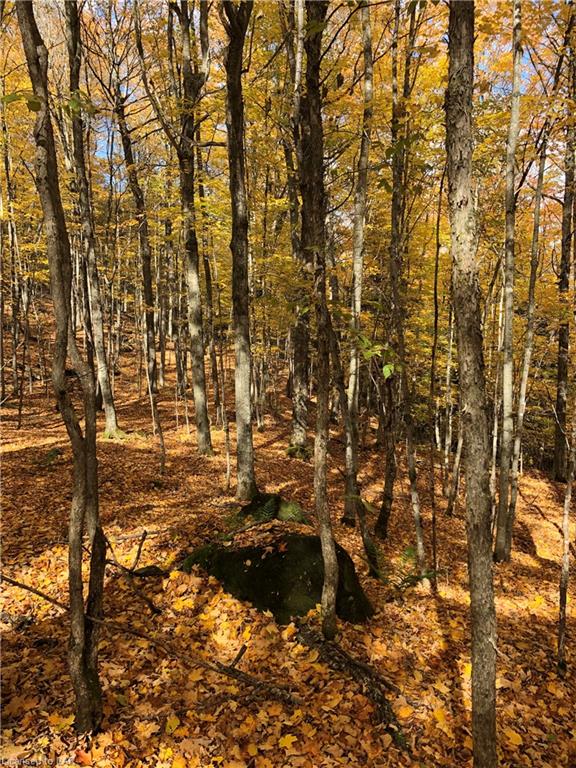 SUGAR BUSH Road, Minden Hills, Ontario, Canada