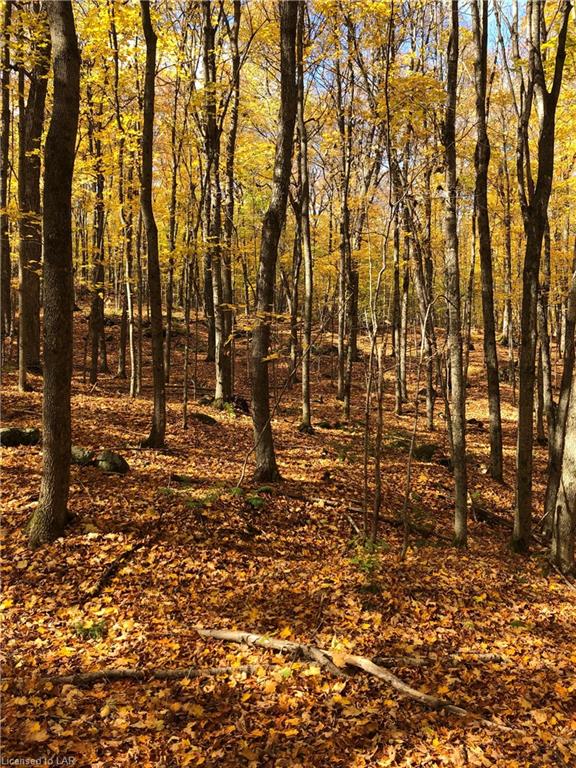 SUGAR BUSH Road, Minden Hills, Ontario, Canada