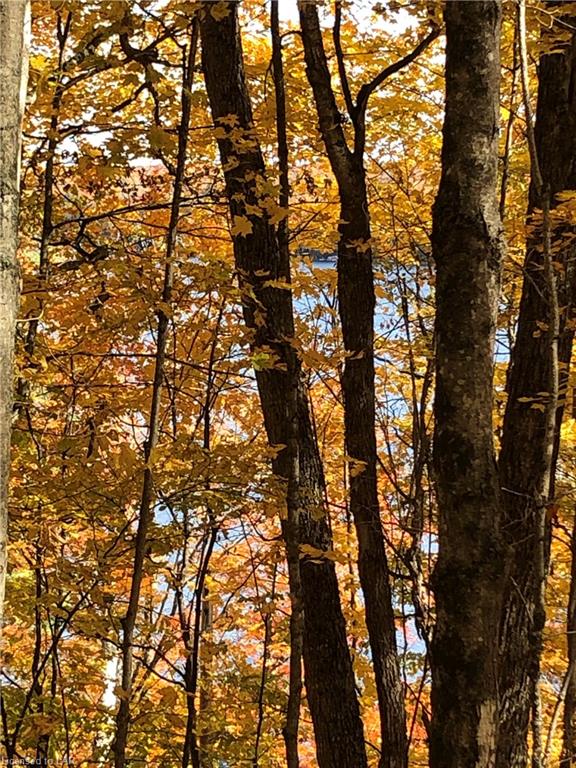 SUGAR BUSH Road, Minden Hills, Ontario, Canada