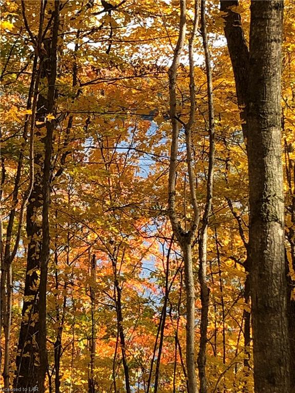 SUGAR BUSH Road, Minden Hills, Ontario, Canada