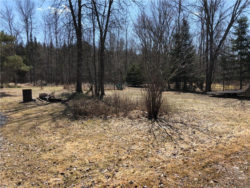 1157 STEEPLECHASE Drive, Algonquin Highlands, Ontario, Canada