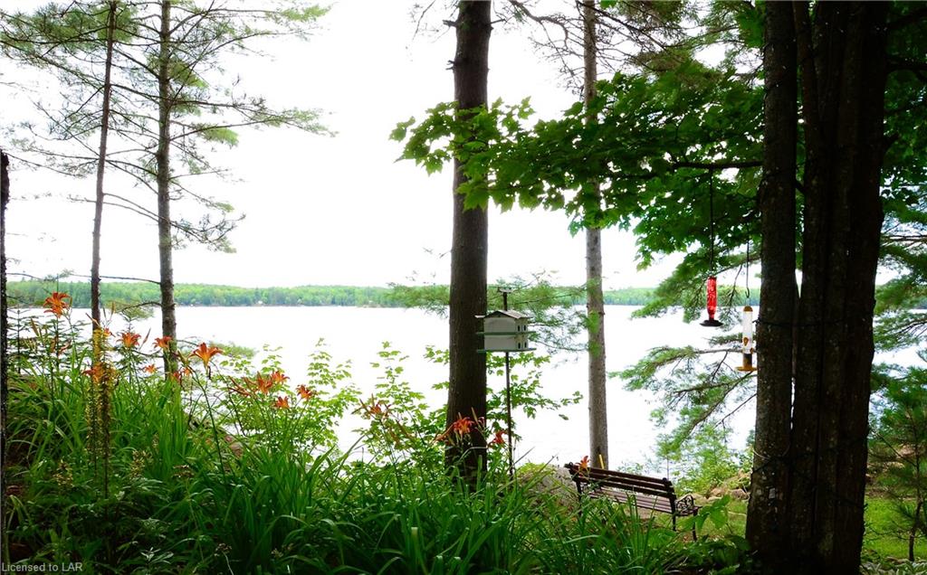 1493 RIPPLE ROCK Drive, Haliburton, Ontario, Canada