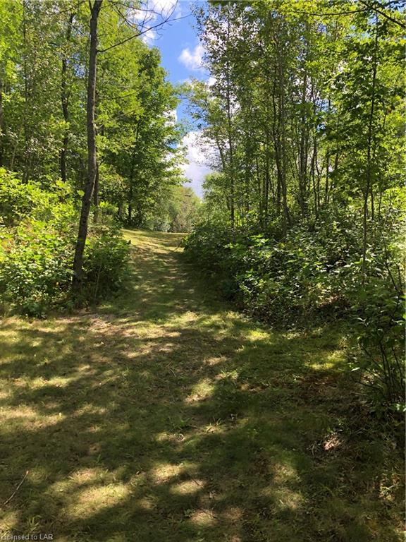 STEEPLECHASE Drive, Haliburton, Ontario, Canada