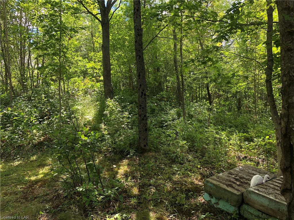 STEEPLECHASE Drive, Haliburton, Ontario, Canada