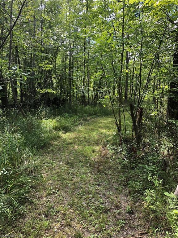 STEEPLECHASE Drive, Haliburton, Ontario, Canada