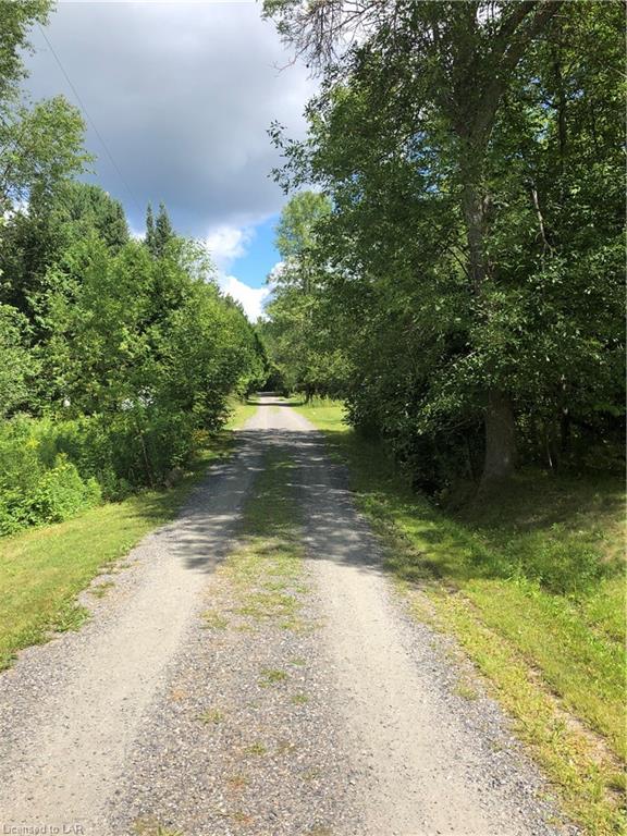 STEEPLECHASE Drive, Haliburton, Ontario, Canada