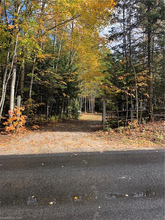 1452 LOCHLIN Road, Minden, Ontario, Canada