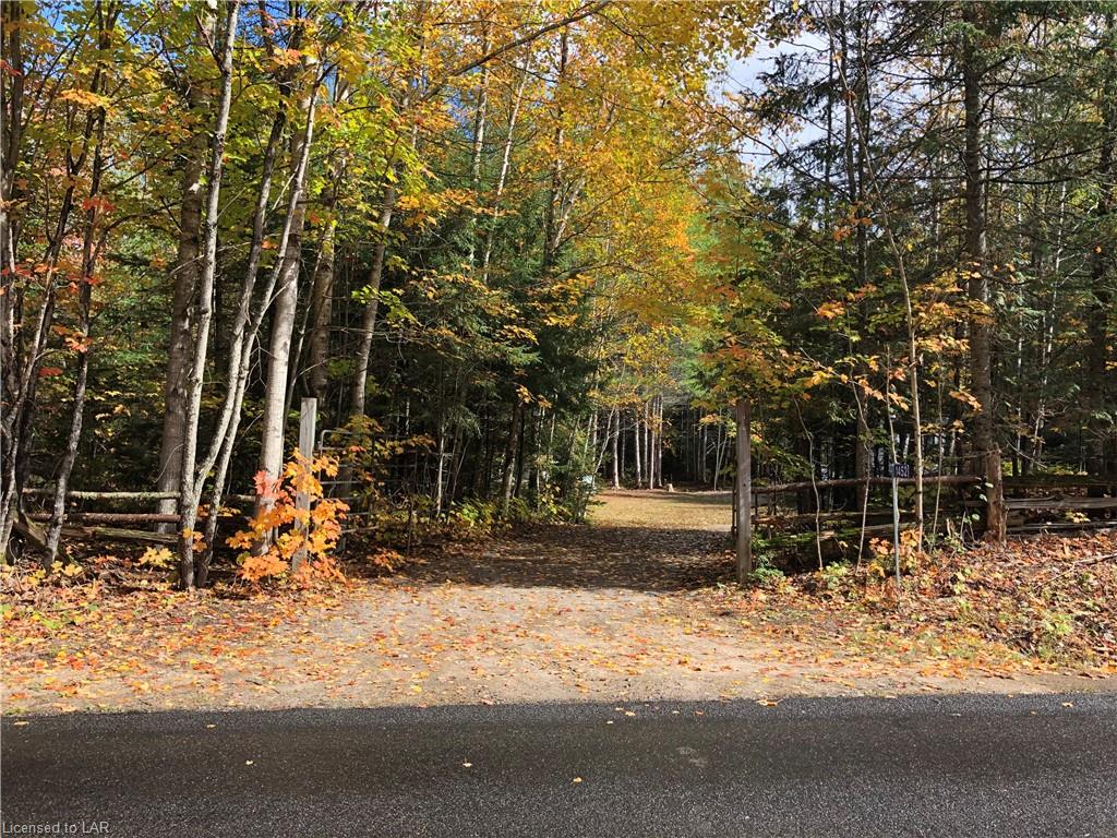 1452 LOCHLIN Road, Minden, Ontario, Canada