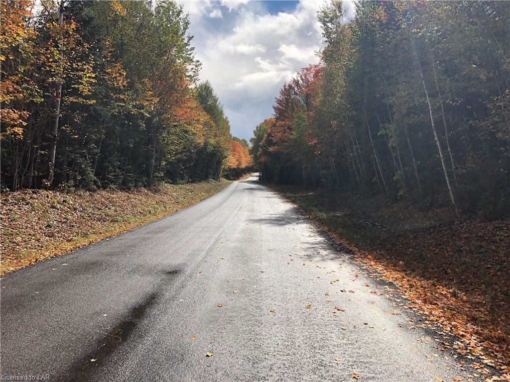 1452 LOCHLIN Road, Minden, Ontario, Canada