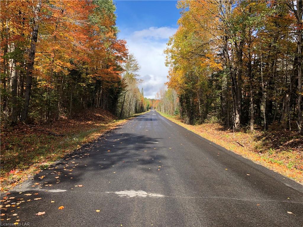 1452 LOCHLIN Road, Minden, Ontario, Canada