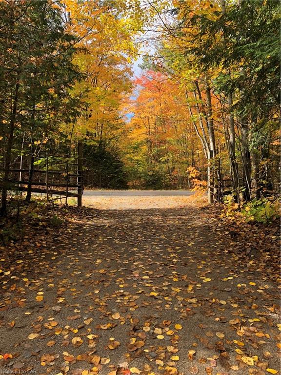 1452 LOCHLIN Road, Minden, Ontario, Canada