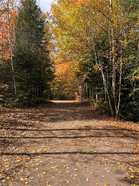 1452 LOCHLIN Road, Minden, Ontario, Canada