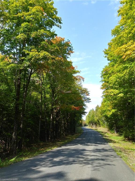 1452 LOCHLIN Road, Minden, Ontario, Canada