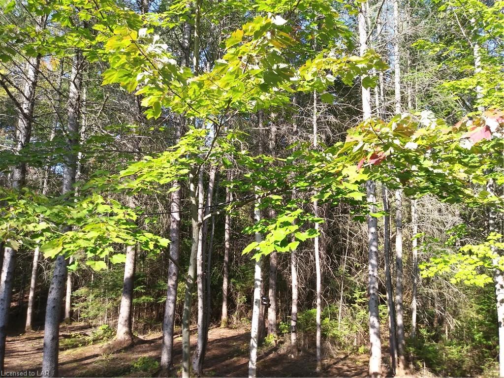1452 LOCHLIN Road, Minden, Ontario, Canada
