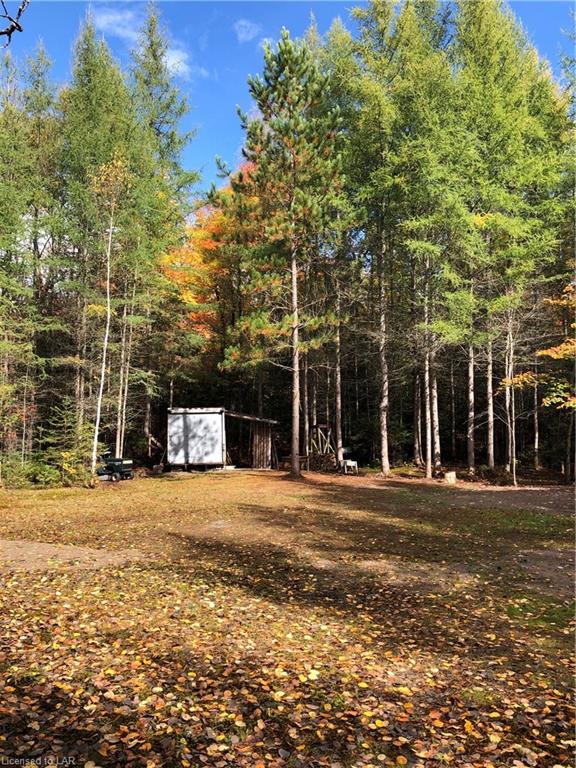1452 LOCHLIN Road, Minden, Ontario, Canada