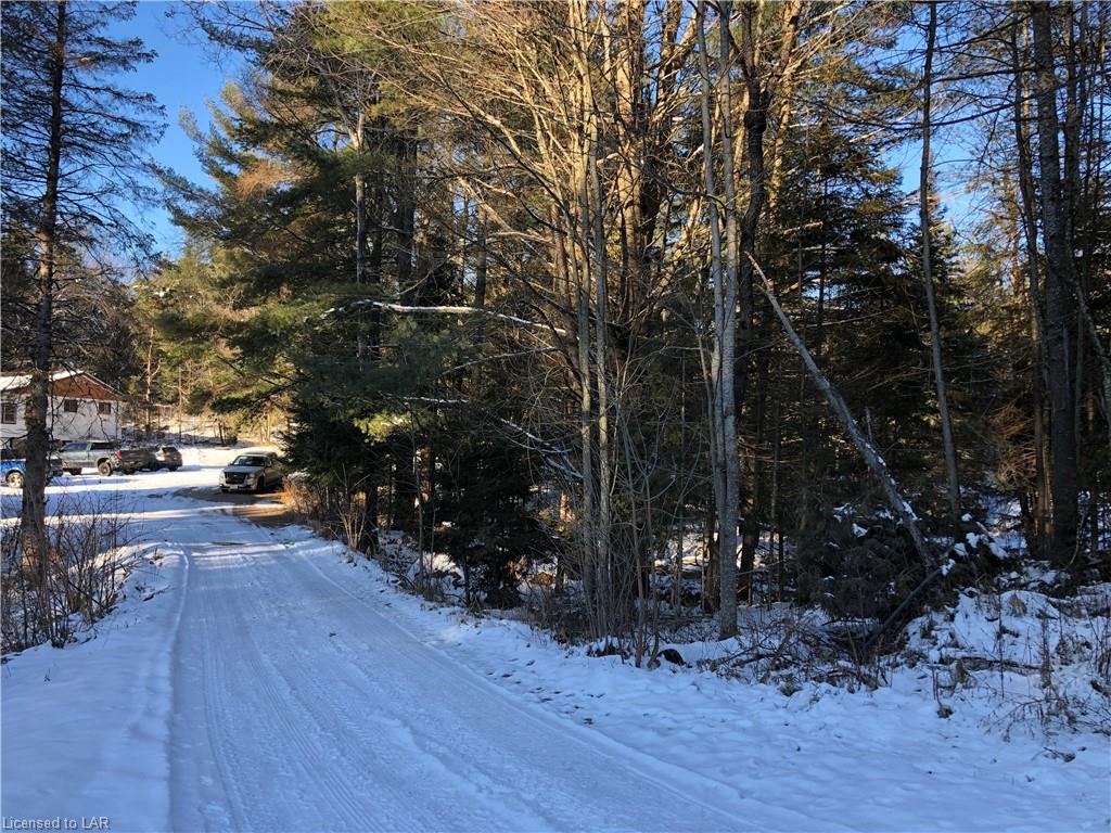 1452 SEDGWICK Road, Minden Hills, Ontario, Canada