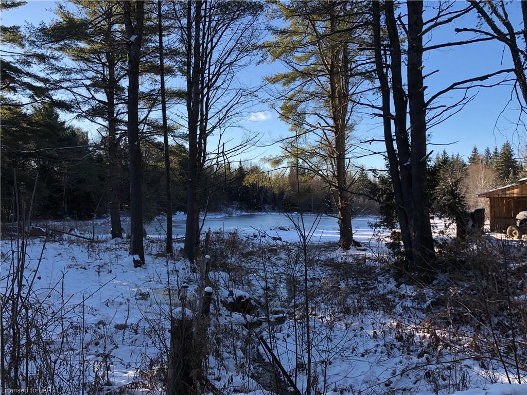 1452 SEDGWICK Road, Minden Hills, Ontario, Canada