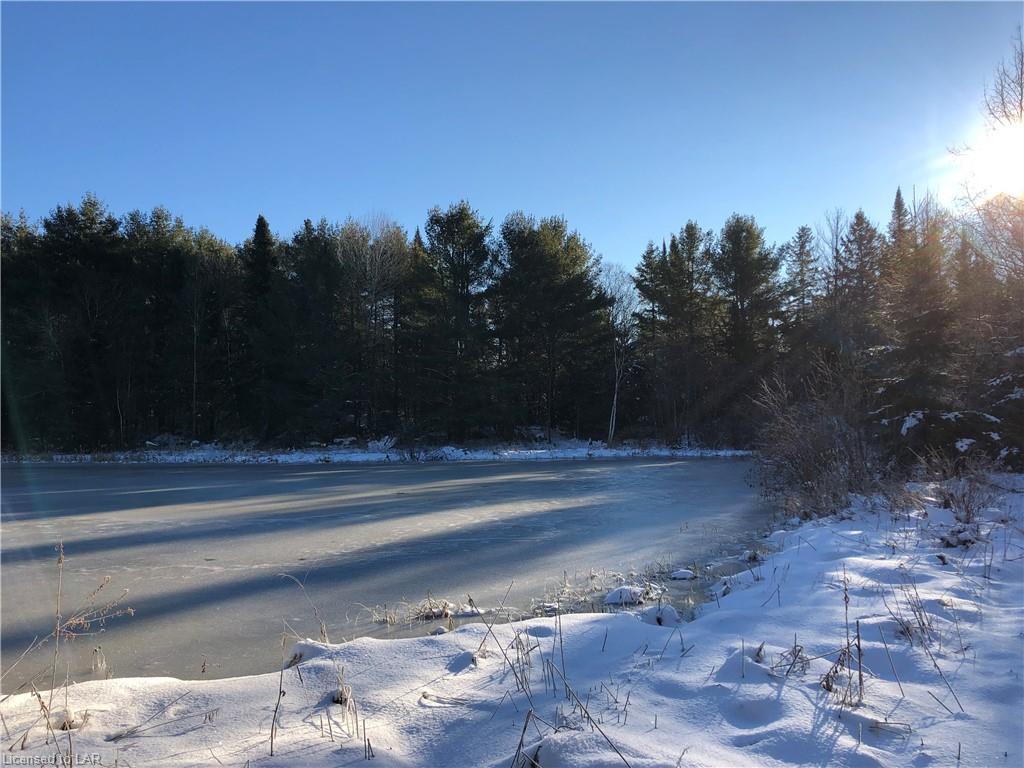 1452 SEDGWICK Road, Minden Hills, Ontario, Canada