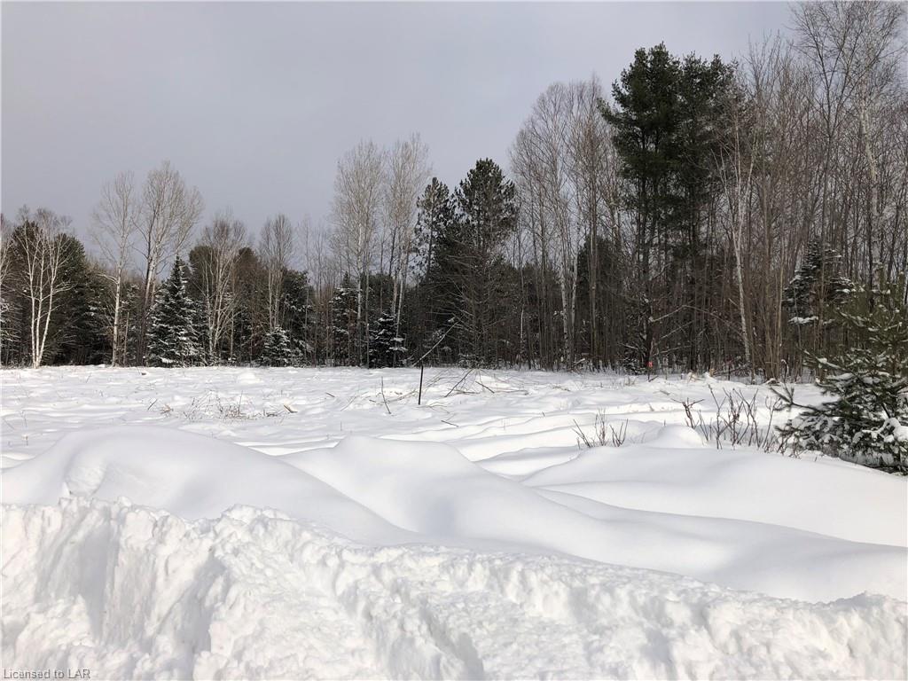 9996 HIGHWAY 118, Carnarvon, Ontario, Canada