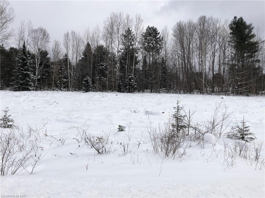 9996 HIGHWAY 118, Carnarvon, Ontario, Canada
