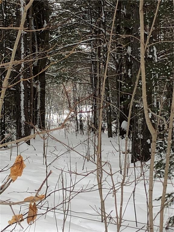 9996 HIGHWAY 118, Carnarvon, Ontario, Canada