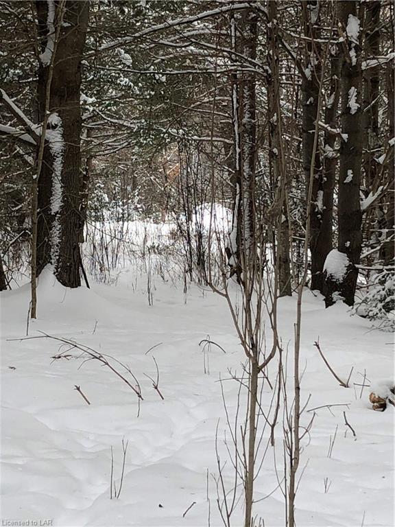 9996 HIGHWAY 118, Carnarvon, Ontario, Canada